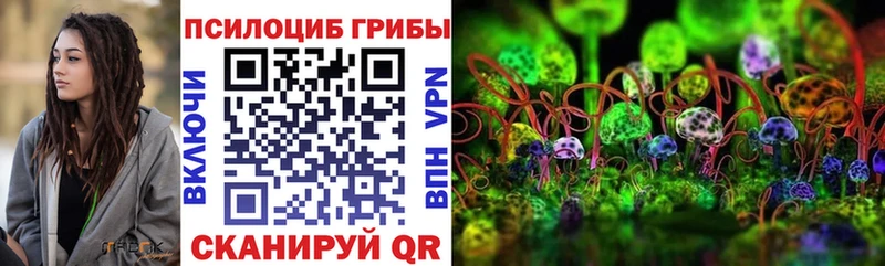 MEGA как зайти купить цена Лермонтов Галлюциногенные грибы GOLDEN TEACHER